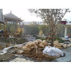 广东园区绿化种植工程公司 园林工程的艺术与生态融合