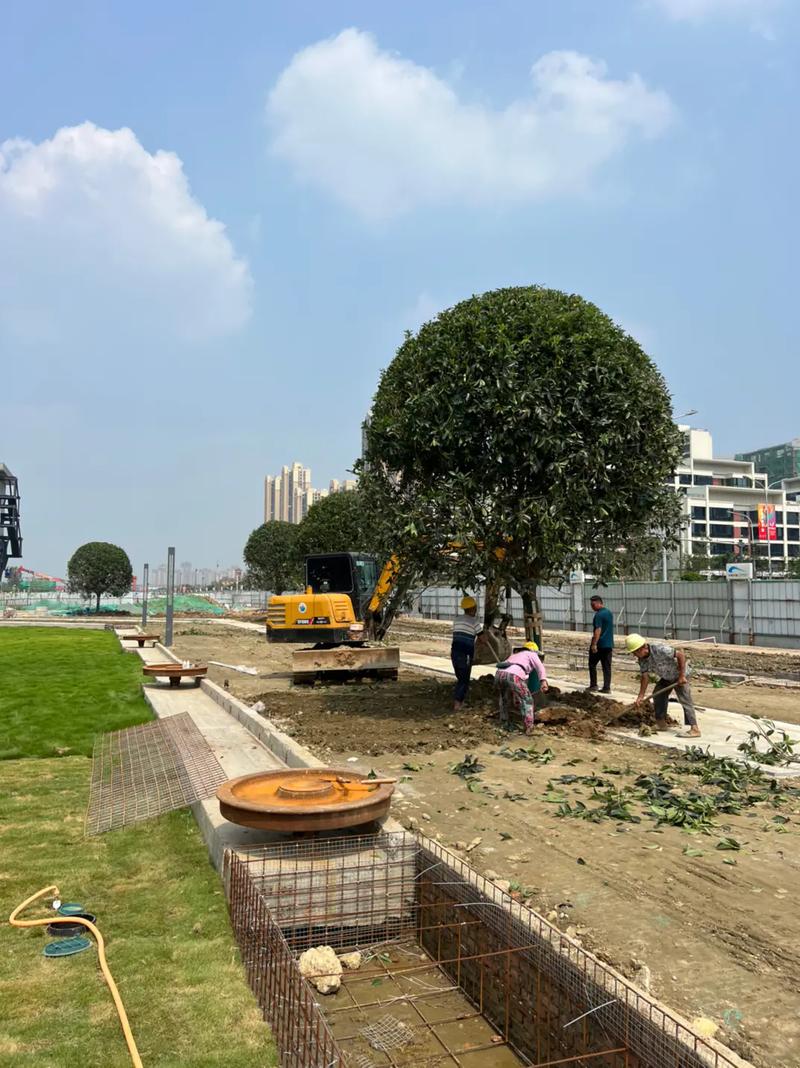 园林景观工程现场实拍 工地上的点点滴滴，藏着未来最美的风景